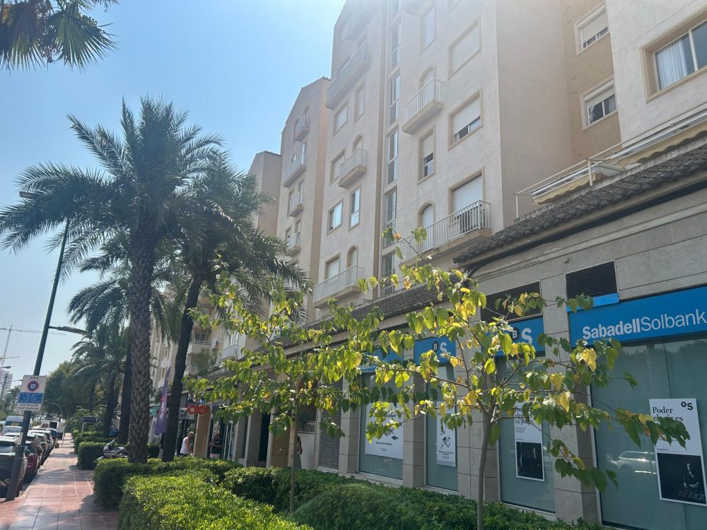 WhatsApp Image 2025-08-21 at 12.27.19