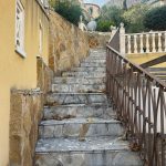 WhatsApp Image 2025-12-13 at 11.08.13 (1)