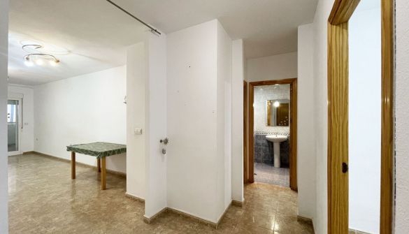 resized_2026_01_13_14_18_img_2118