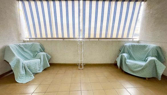 resized_2026_01_13_14_21_img_2126