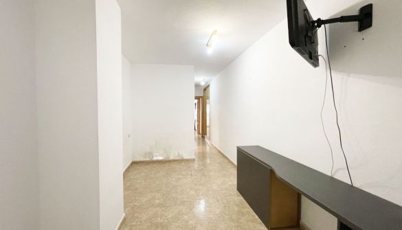 resized_2026_01_13_14_22_img_2127