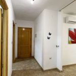 resized_2026_01_13_14_24_img_2133