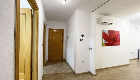 resized_2026_01_13_14_24_img_2133