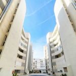 resized_2026_01_13_14_32_img_2146