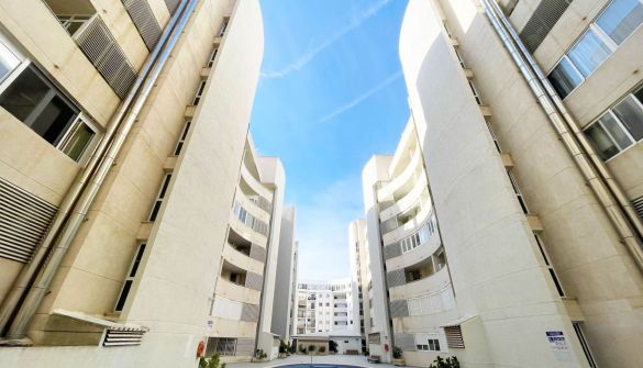 resized_2026_01_13_14_32_img_2146