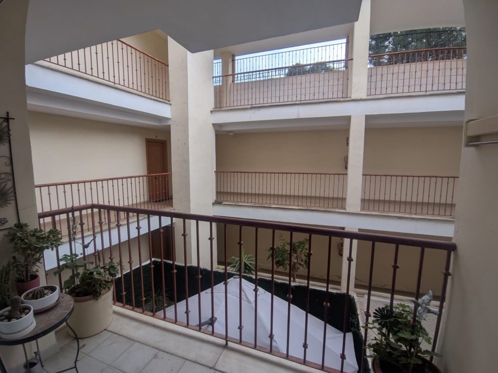 WhatsApp Image 2026-03-11 at 17.53.50