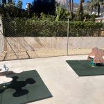 WhatsApp Image 2026-03-13 at 19.00.08 (1)