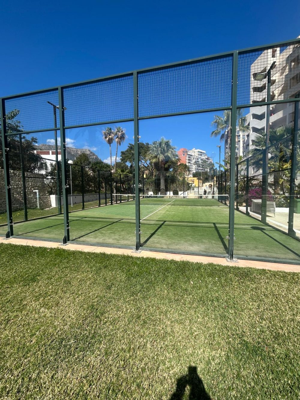 WhatsApp Image 2026-03-13 at 19.00.09 (1)