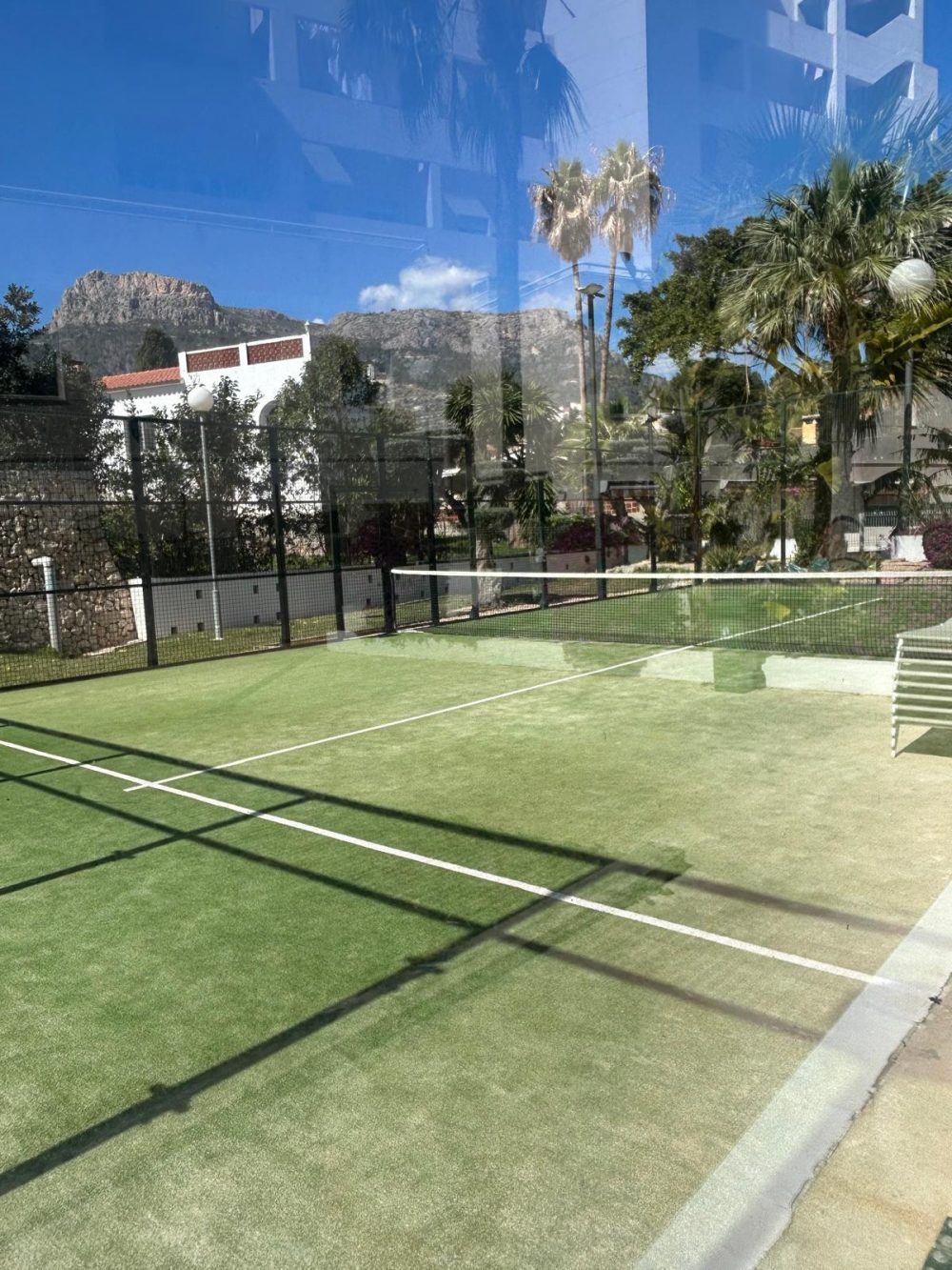 WhatsApp Image 2026-03-13 at 19.00.09