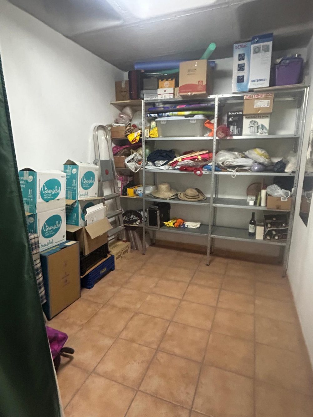 WhatsApp Image 2026-03-26 at 18.33.28 (1)