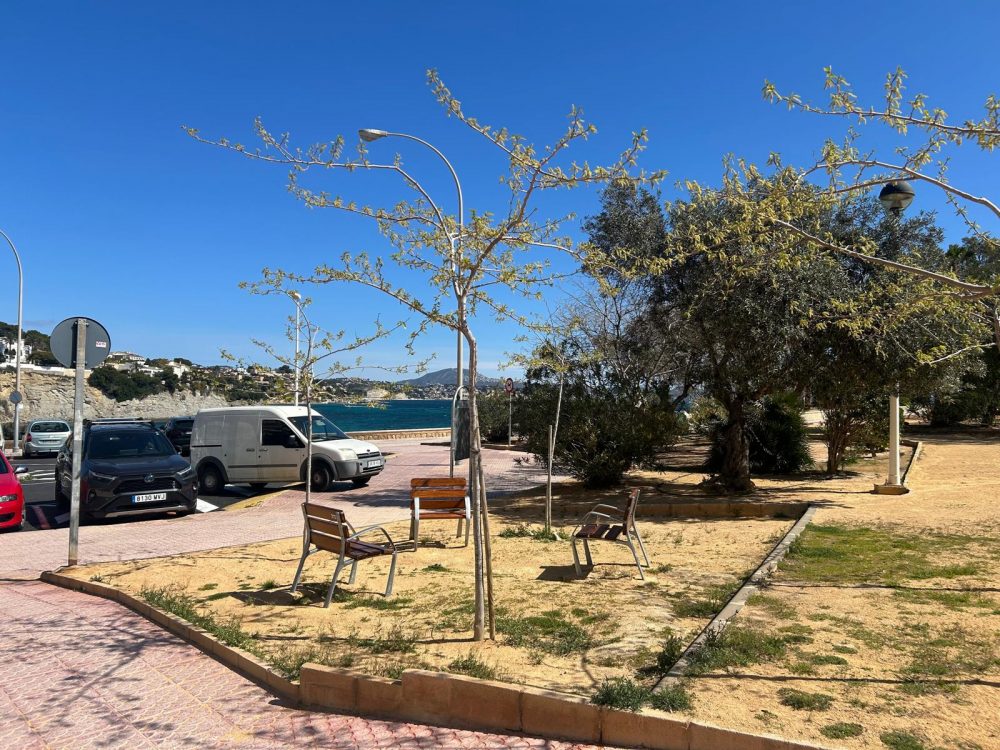 WhatsApp Image 2026-03-27 at 18.19.30