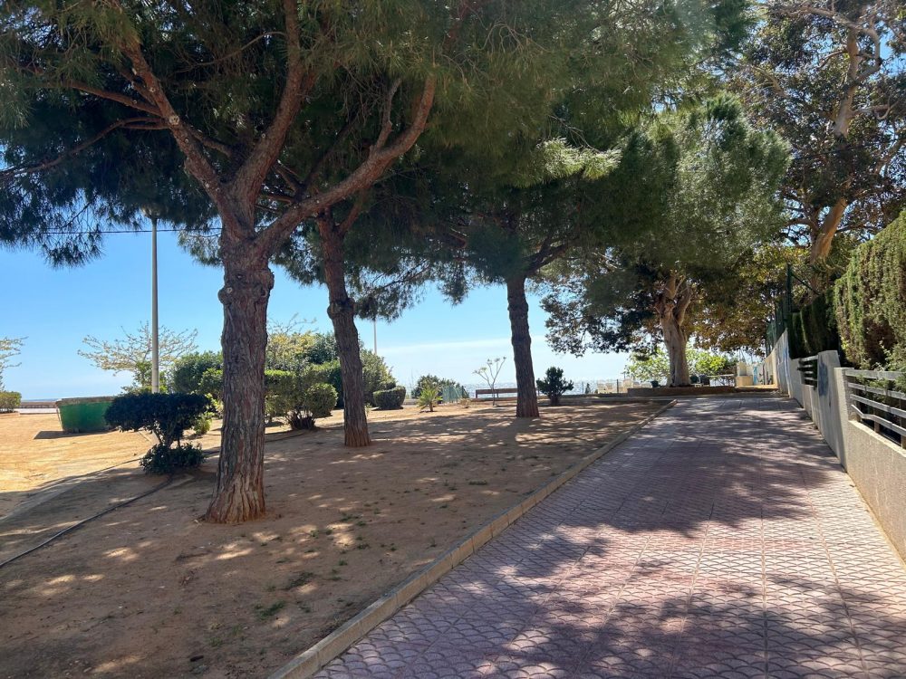 WhatsApp Image 2026-03-27 at 18.19.32 (18)