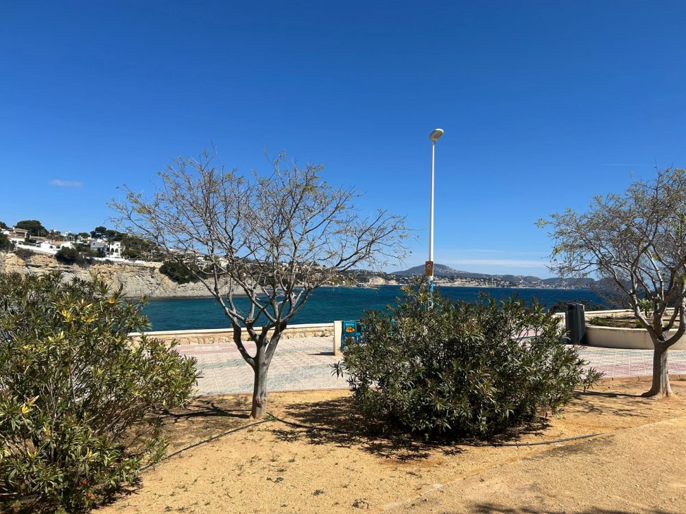 WhatsApp Image 2026-03-27 at 18.19.32 (20)