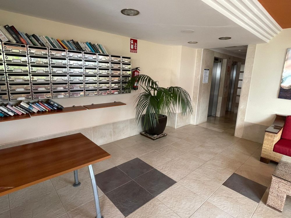 WhatsApp Image 2026-04-10 at 11.01.29 (3)