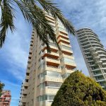 WhatsApp Image 2026-04-10 at 11.01.30 (5)