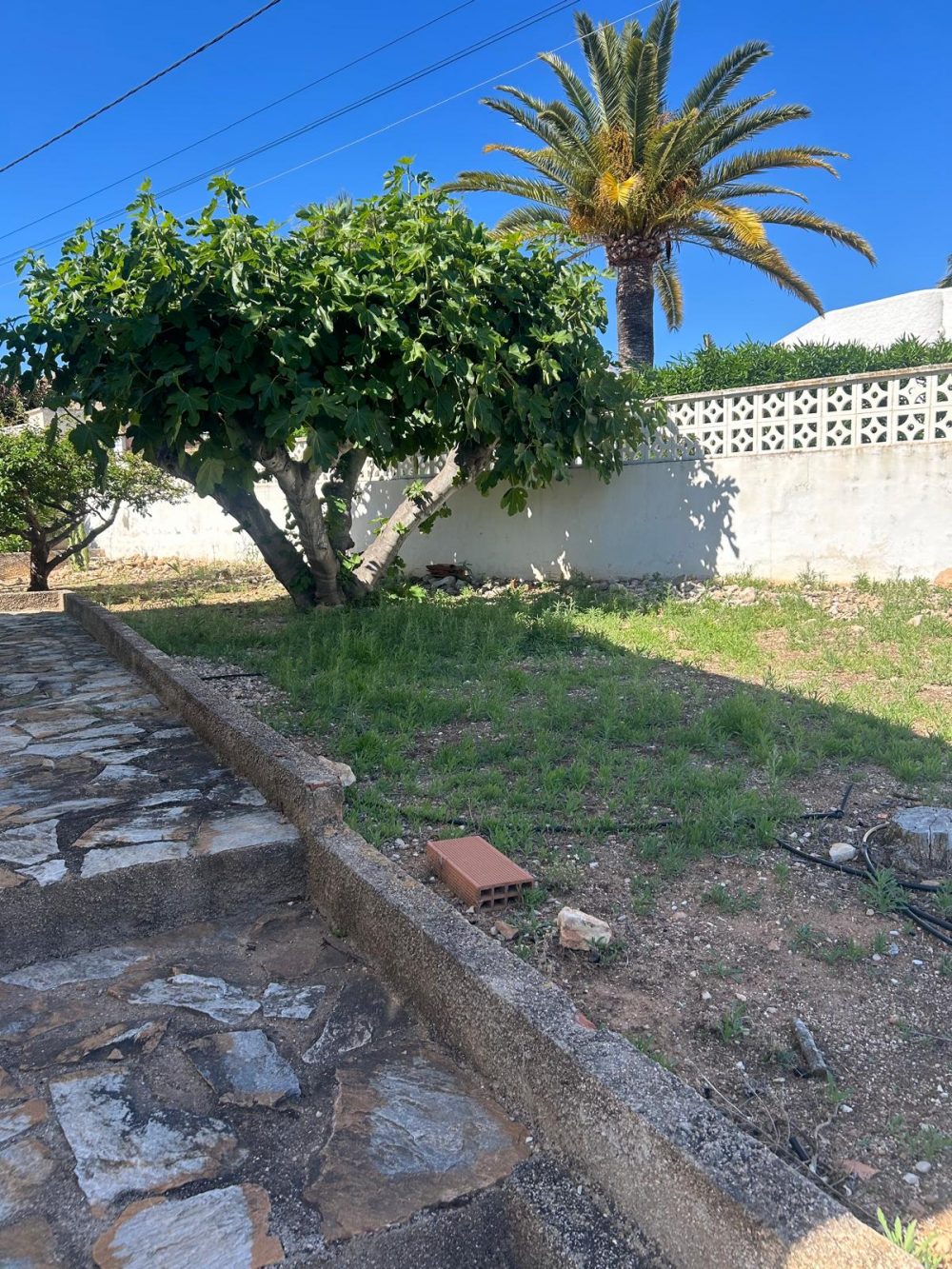 3. El Sol jardín