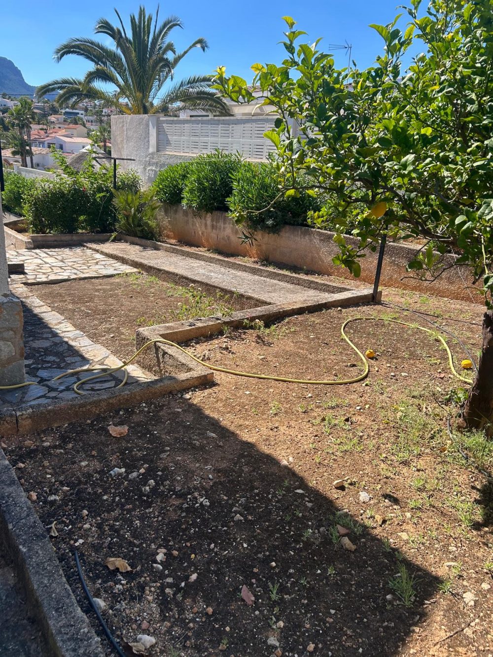 4. El Sol jardín