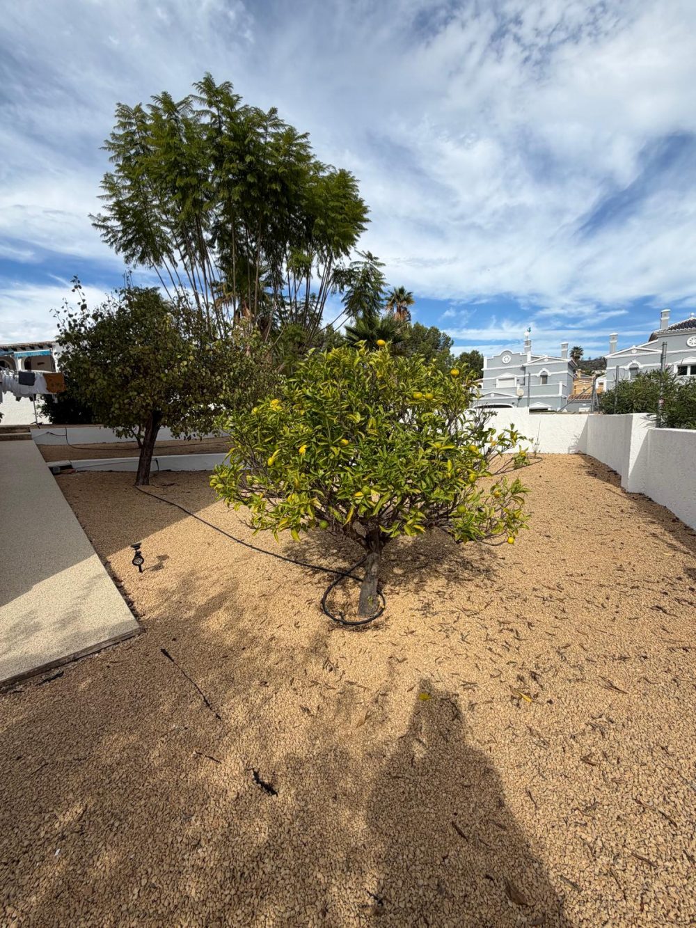 55. Cometa II Jardin