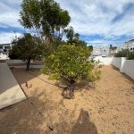 55. Cometa II Jardin